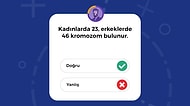 Bu 20 Soruluk Doğru Yanlış Testini Çözerken Soğuk Terler Dökeceksiniz!