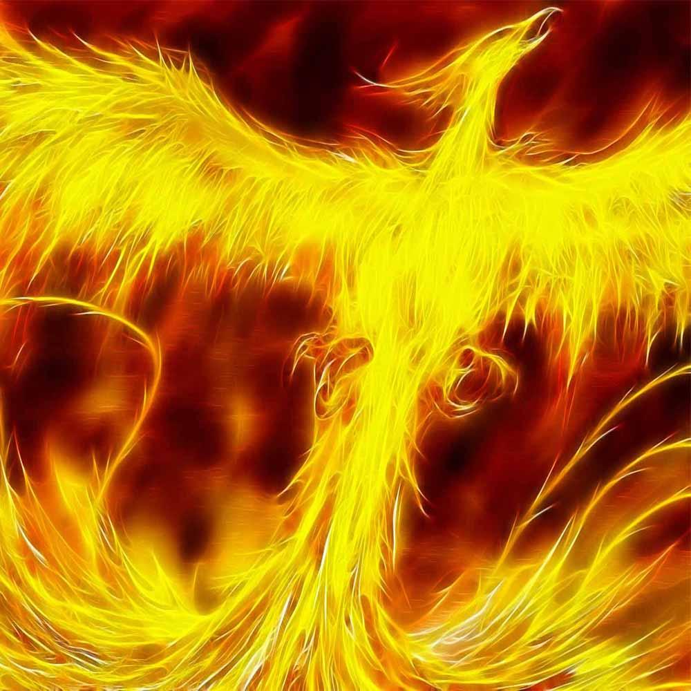 Феникс горячая. Феникс в греческой мифологии. Птица Феникс. Огненная птица. Огненный Феникс.