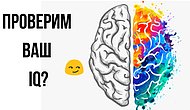 Не знаете какой у вас IQ? Набрав 10/12 в этом тесте, можете считать, что он выше среднего!