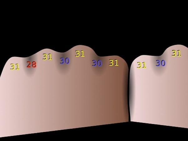 2. Сколько дней в месяце вашего рождения?
