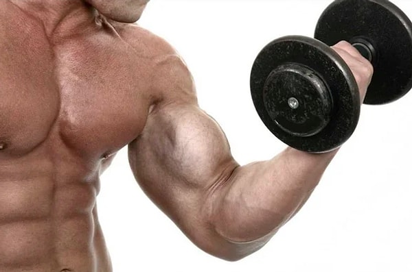 11. Бицепсы атлета не могут разорвать собственную кожу.