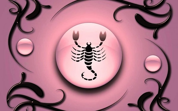 4. Скорпионы могут голодать до 2 лет.