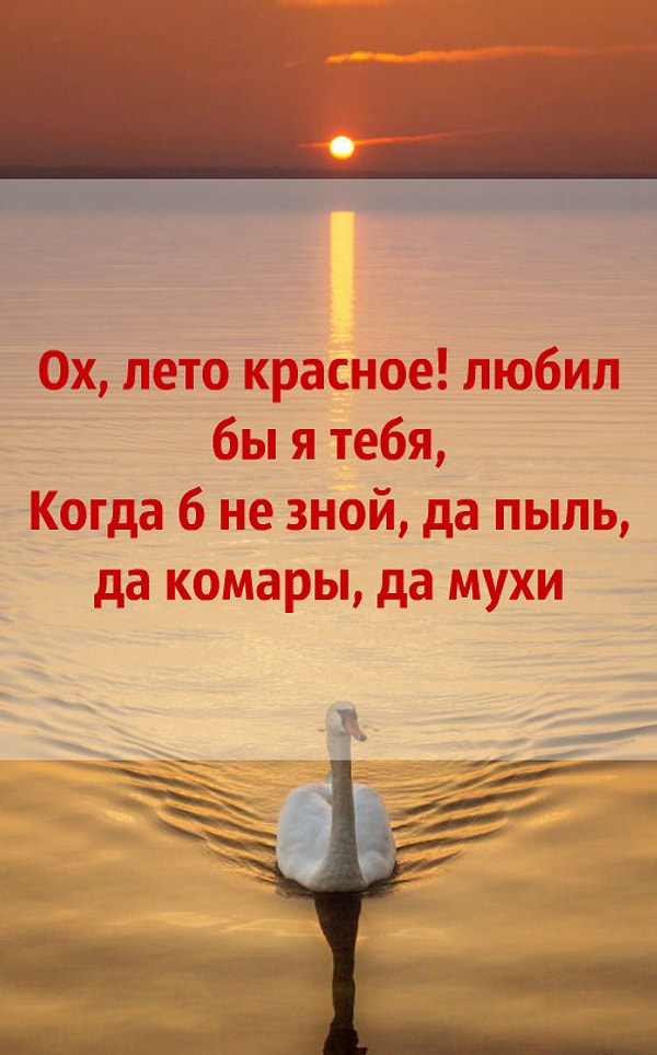 6. Что скажете?