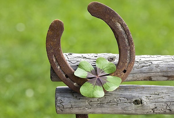 5. Какой талисман удачи вы носили бы с собой?