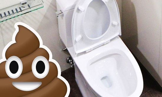 Женщина забыла 10 лет жизни после того, как перенапряглась в туалете