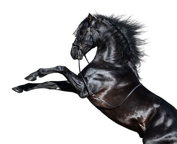 Посмотреть правильный ответ: