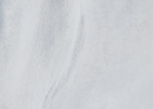 10. Чеснок или все-таки лошадь?