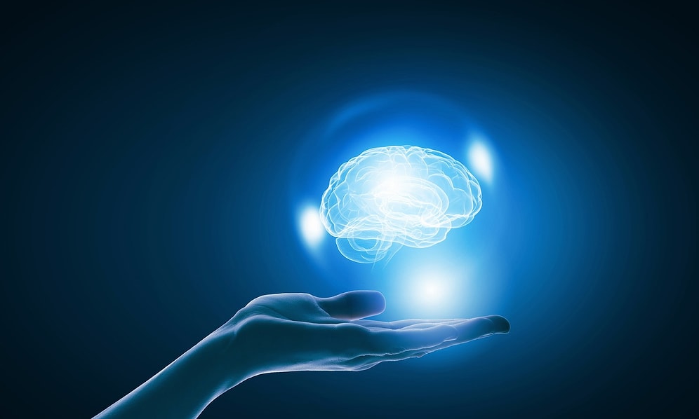 Тест: Хватит ли вашего образованности, чтобы набрать в этот тесте на общие знания хотя бы 9/13?