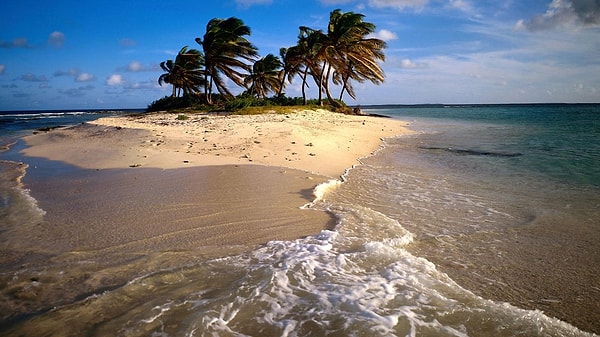 6. Какое чувство взяло бы над вами верх, если бы вы оказались на необитаемом острове?