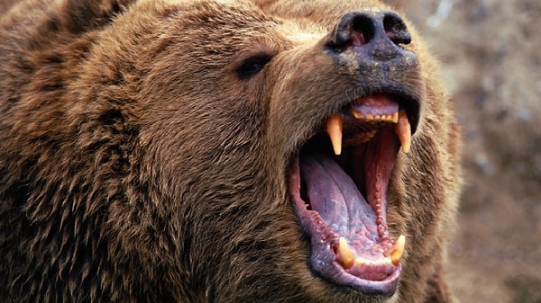 Вы иногда бывает неоправданно суровыми