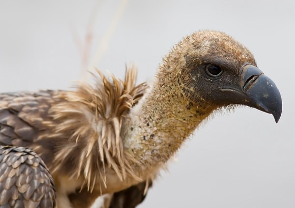 Вы человек со сложным характером