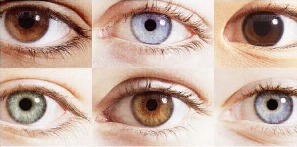 4. Какого цвета у вас глаза?