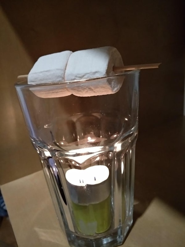 18. Если ненавидите ходить в поход, но обожаете жареные маршмеллоу.