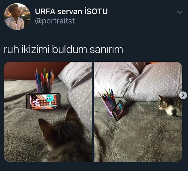 9. Kankito.