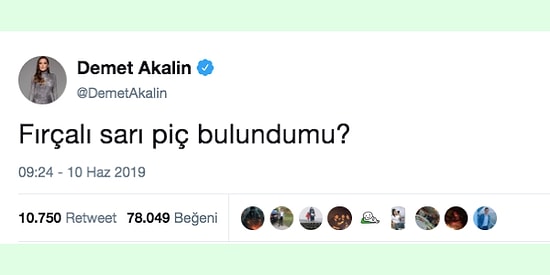 Müge Anlı Göreve! Tüm Ülke Fellik Fellik 'İzlandalı Fırçalıyı' Arıyor