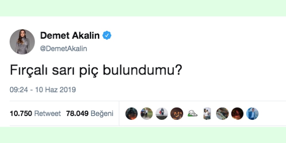 Müge Anlı Göreve! Tüm Ülke Fellik Fellik 'İzlandalı Fırçalıyı' Arıyor