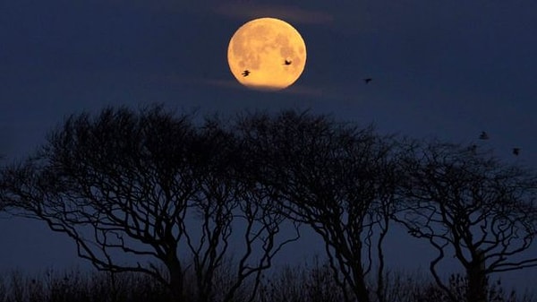 11. Вращается ли Луна вокруг Солнца?