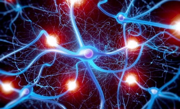 7. Уровень какого гормона в крови снижен при евнухоидизме?