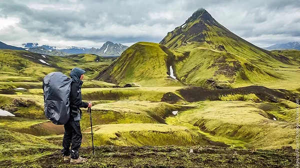 8. В Исландии не живут комары.