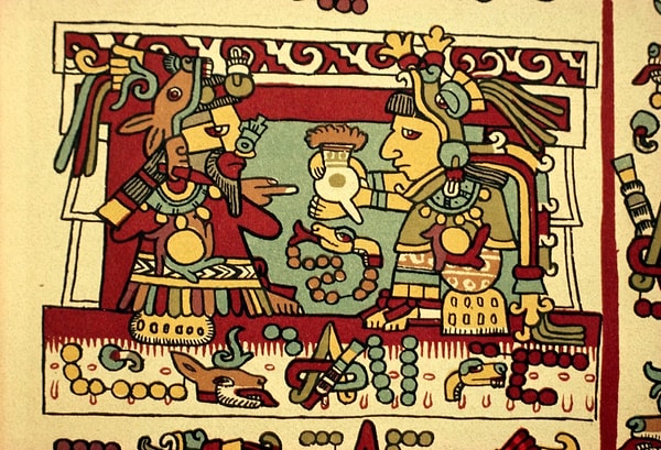 5. Какого продукта питания не было у майя?