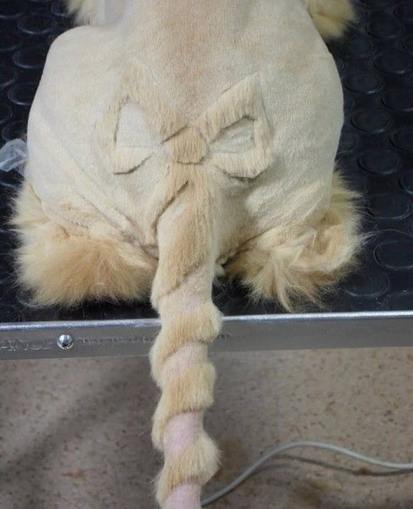 11. И кому такая красота достанется? =)