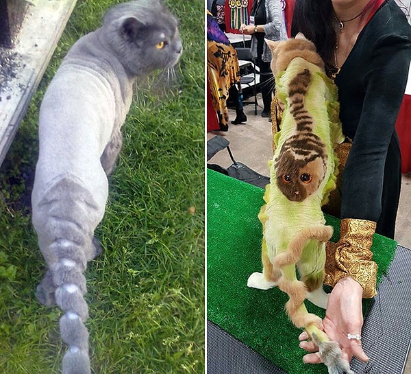 13. Больше, больше гламура!