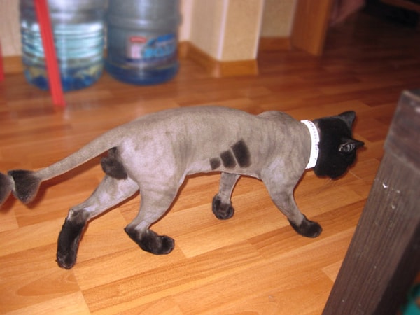 16. На правах рекламы =)