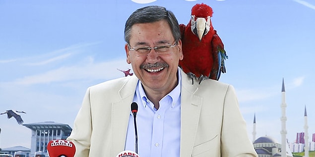 2. "GENÇ'leşen Gökçek!"