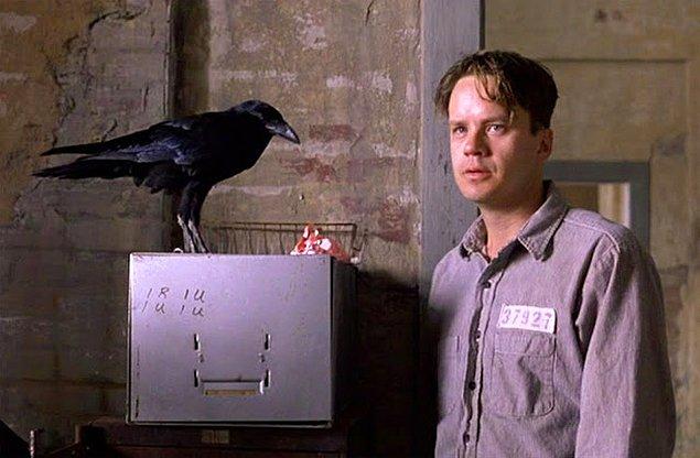 14. The Shawshank Redemption'da, kafasının üzerinde karganın ciyaklamasnı önlemek için, Tim Robbins repliklerini zamanlayıp, kuşun konuşma düzenini ezberlemiş.