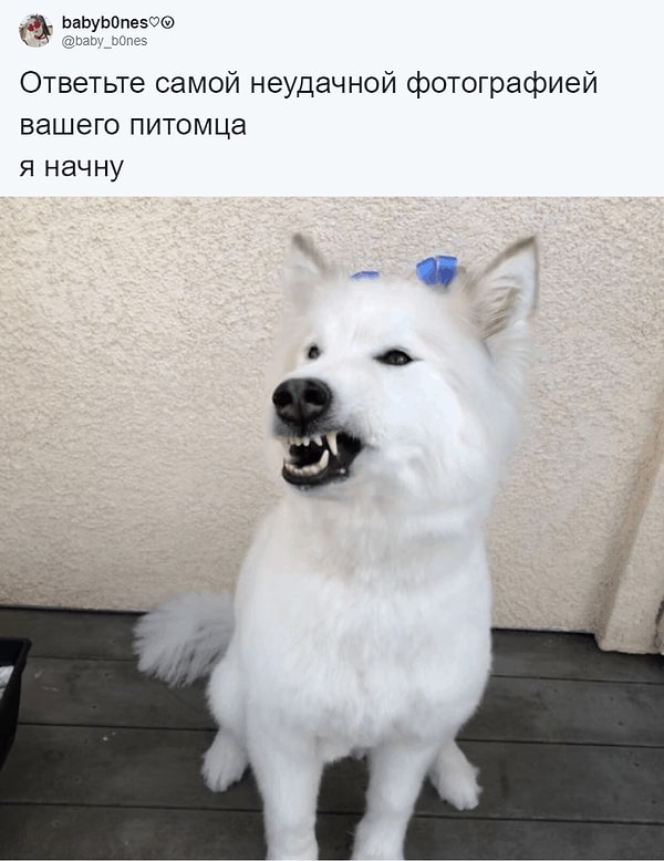 1. Вот с этого снимка все и началось