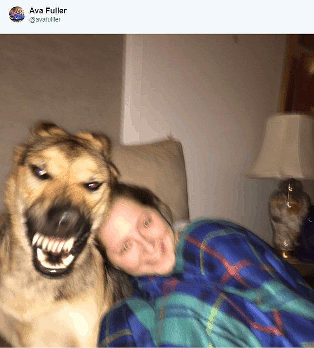 Девушка выложила неудачное фото своей собаки в Сети, и другие пользователи решили последовать ее примеру. А удачные ли фото, смотрите сами