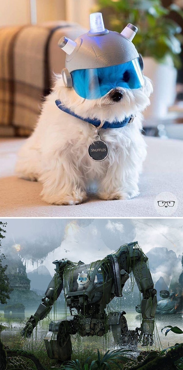 7. Грозный песик