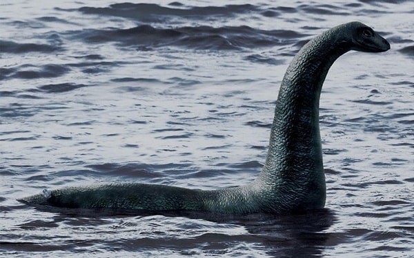 7. А известно ли вам, к какой разновидности динозавров относится Несси - знаменитое чудовище озера Лох-Несс?