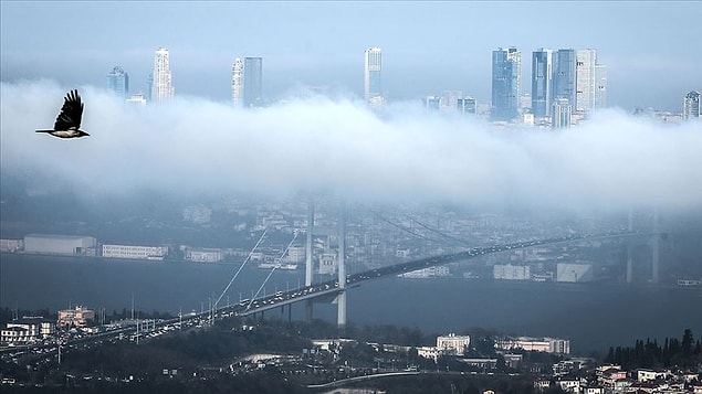 İmamoğlu: 'İstanbul'un yeşile ihtiyacı var'