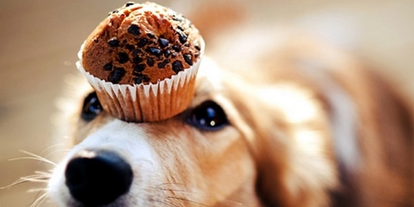 Для вас счастье - это лучшее качество жизни, но для его достижения вам недостает капельки самодисциплины.