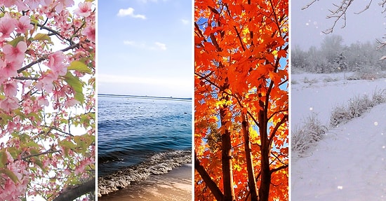 Тест: Испеките идеальное пирожное макарон, а мы скажем, какое вы время года