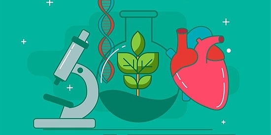 Тест: Смогли бы вы успешно сдать ЕГЭ по биологии?