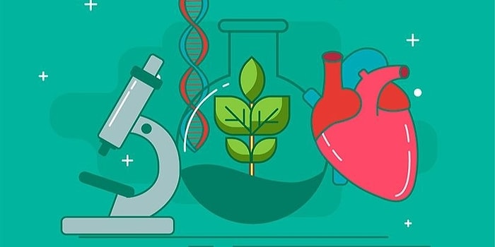 Тест: Смогли бы вы успешно сдать ЕГЭ по биологии?