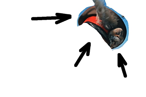 3. На герое из какого фильма вы могли видеть эту шляпу?