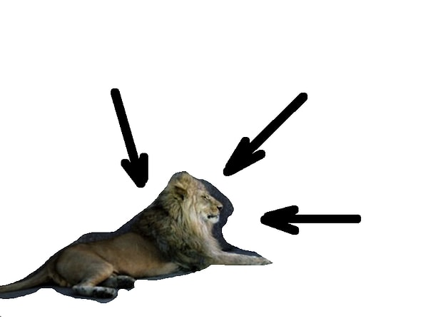 2. А этого льва?