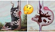 Когда корова занимается йогой: Необычные работы французского художника, на которых животные решили заняться фигурой