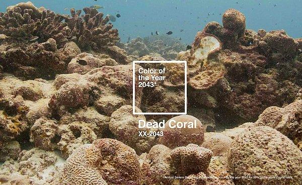 Bonus: Pantone'un bu yılın rengi olarak seçtiği Living Coral'ı referans alan, The Raccoons reklam ajansı, 2043 Yılının Rengi'ni Dead Coral (Ölü Mercan) olarak belirledi.