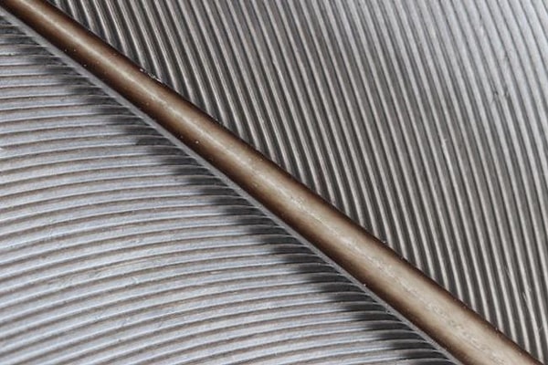 28. Перо голубя