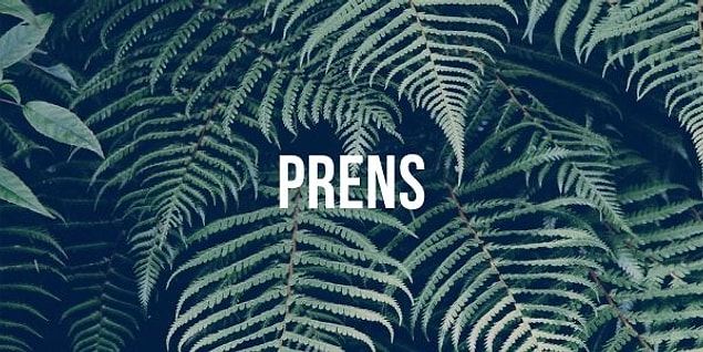 7. Hangisi "prens" kelimesinin bir hecesidir?