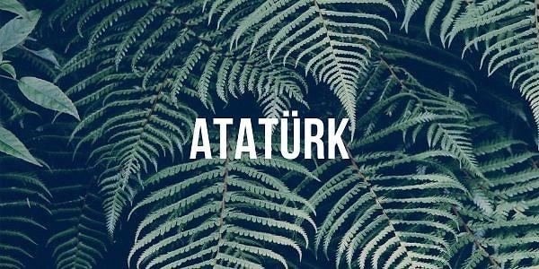 5. "Atatürk" kelimesinde kaç tane hece vardır?