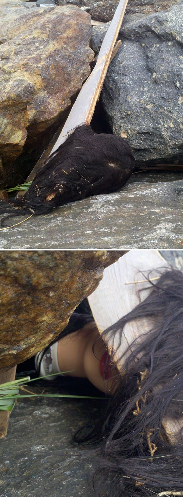 12. «Голова» на пляже после урагана