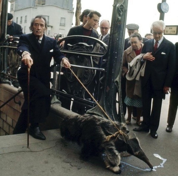 Посмотреть ответ: