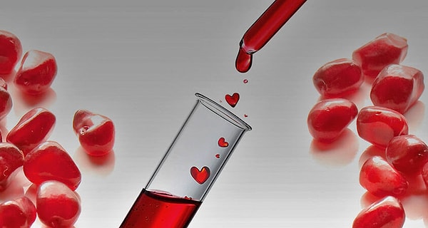 5. Каких клеток больше всего в составе крови человека?