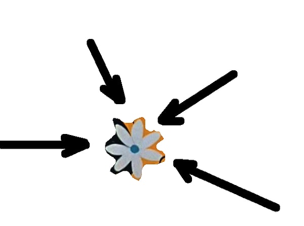 9. Этот цветок из мультфильма...
