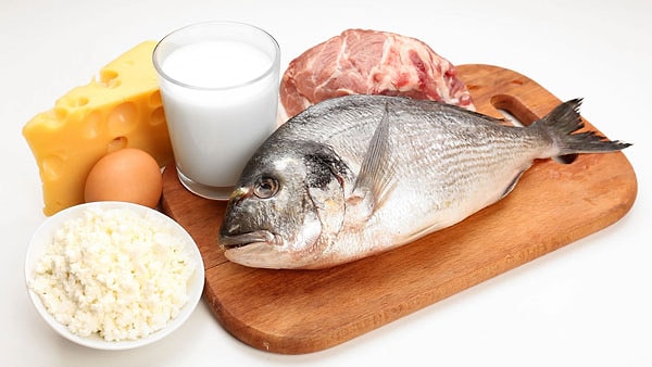 12. Какая из этих клеточных органелл отвечает за производство белков?